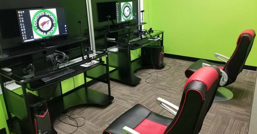 Simulation Sports