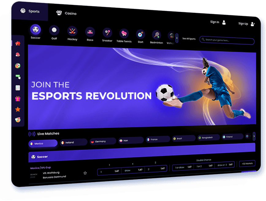 Custom Betting Software
