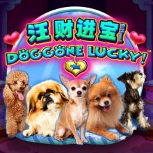Dog Gone Lucy