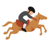Endurance Race