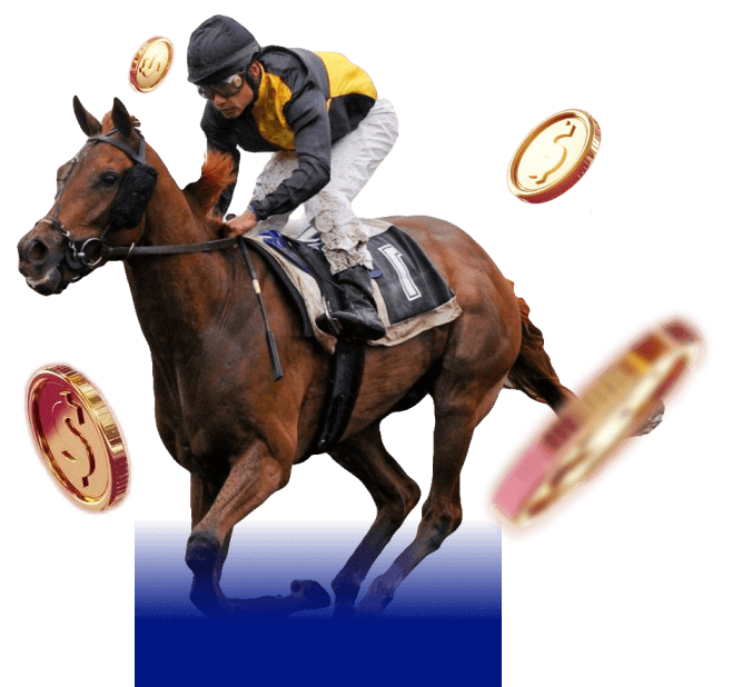 Horse Racing Software Development Company in Australia