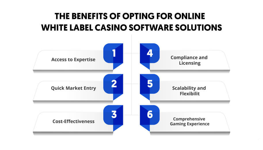 The Benefits Of Opting For Online White Label Casino Software Solutions
