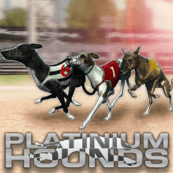 Greyhound Racing