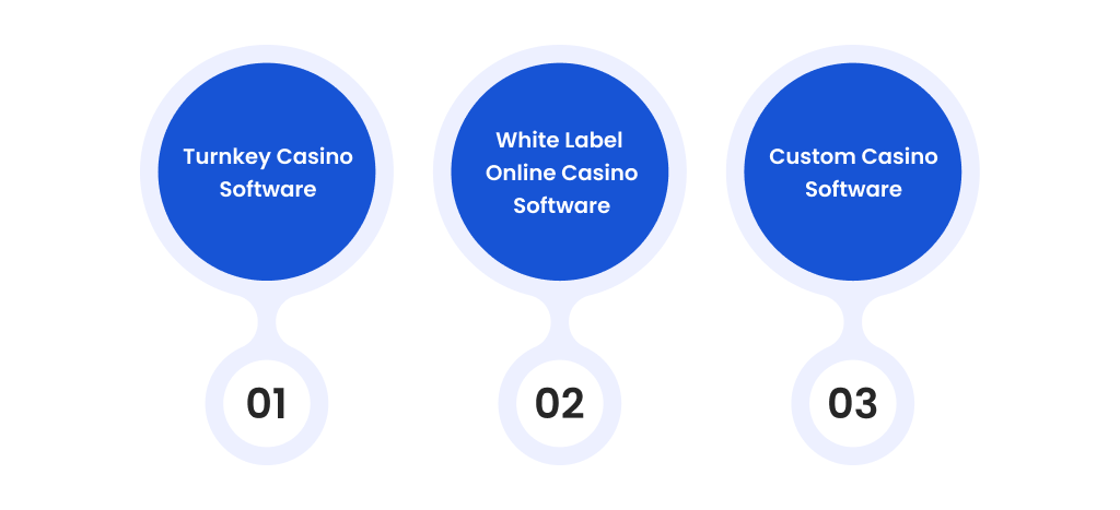 Popular Types of Online Casino Software Solutions