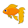 Realistic Golden Dragon Fish