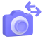 camera swaps