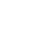 Security and Risk Management