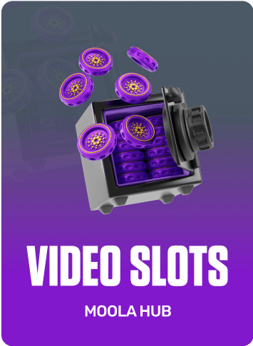 Video Slots Game